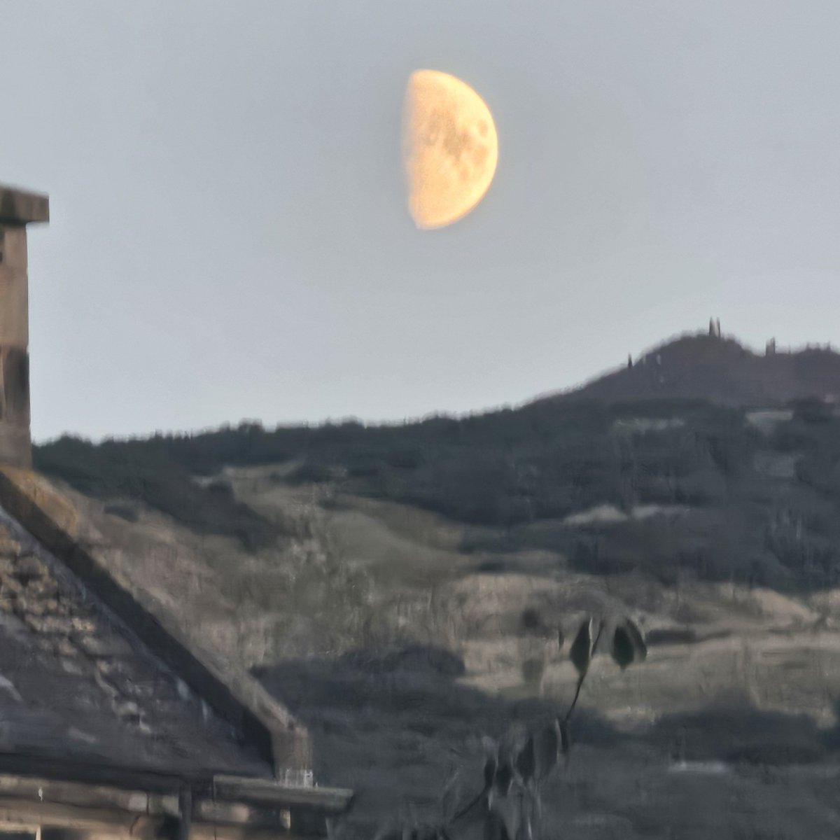 Neil R Carr tweet media