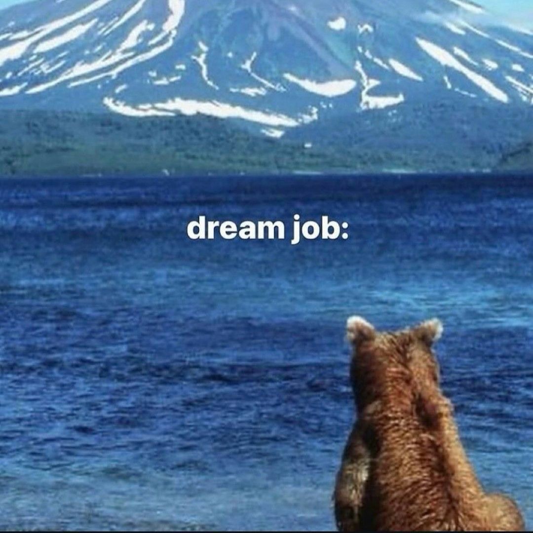 ARTIFAXING (@pedestrian) on Twitter photo 