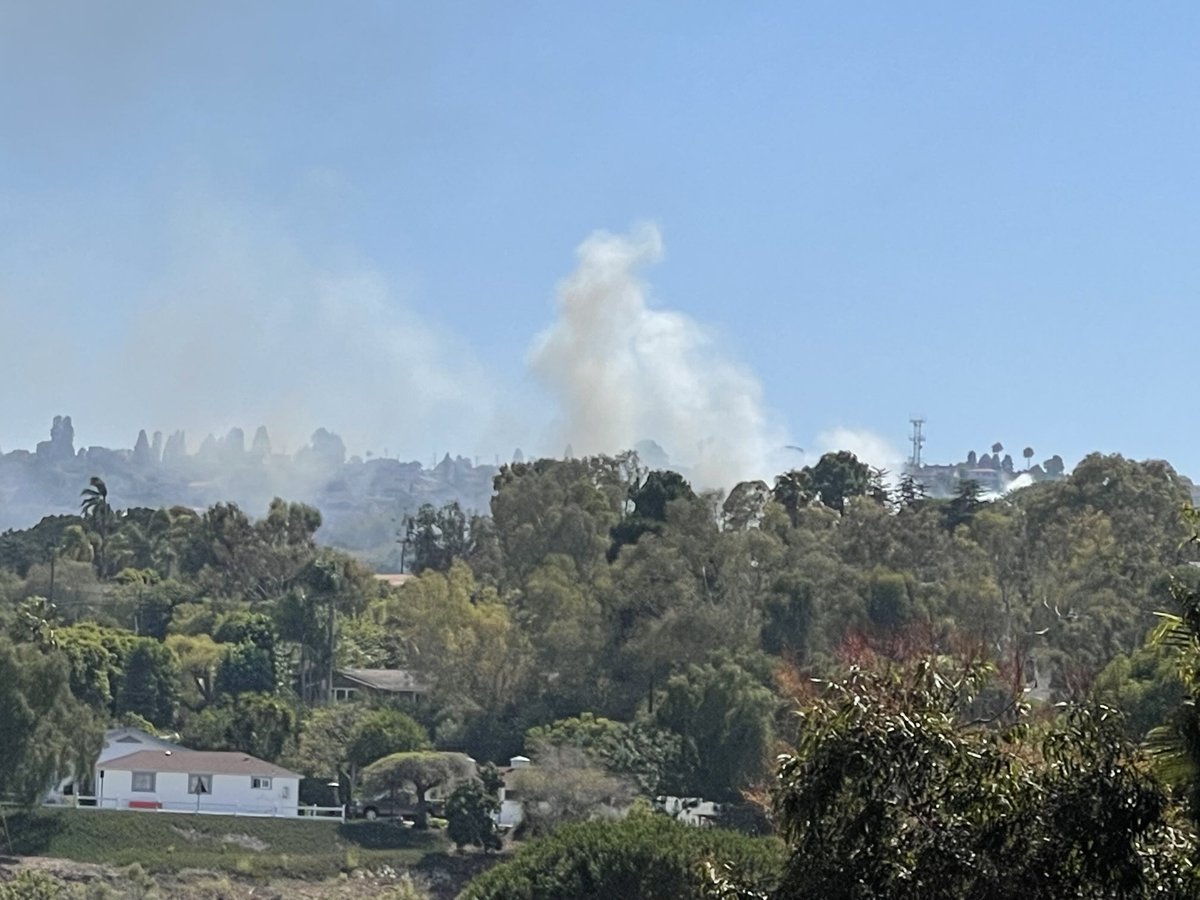 They must be on it.  White smoke now.