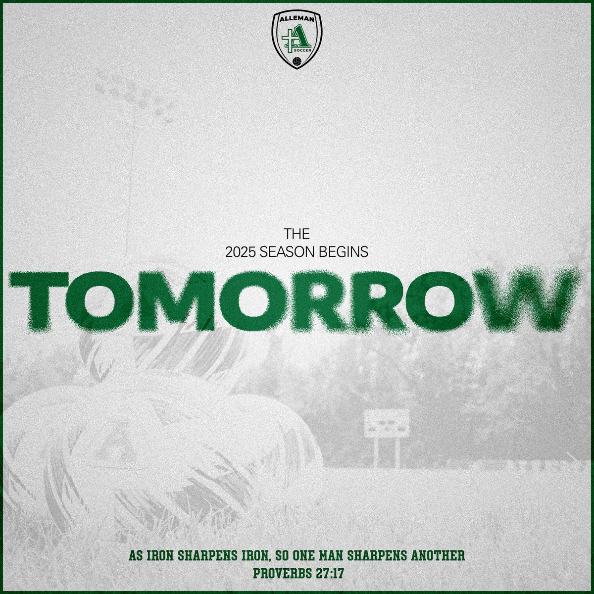 Alleman Boys Soccer tweet media