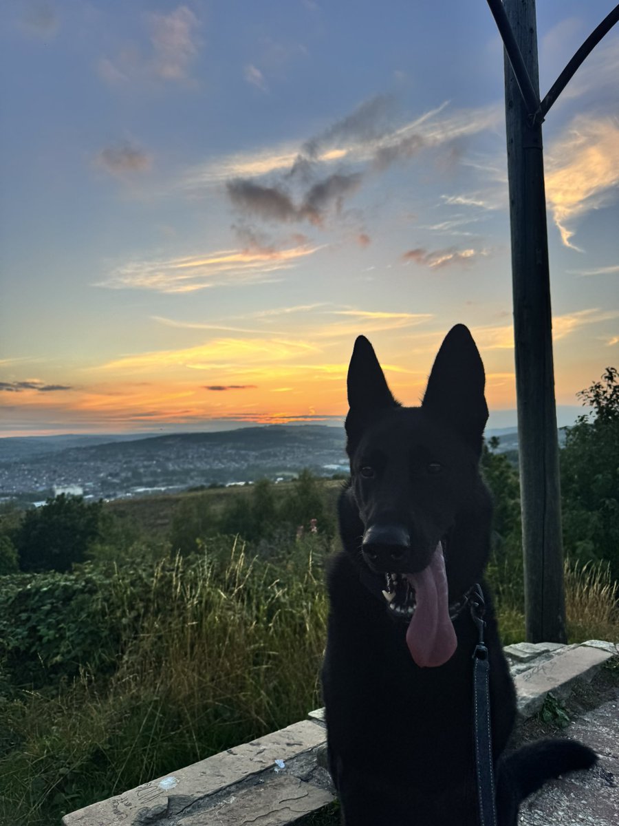 Nathan Edmonds tweet media