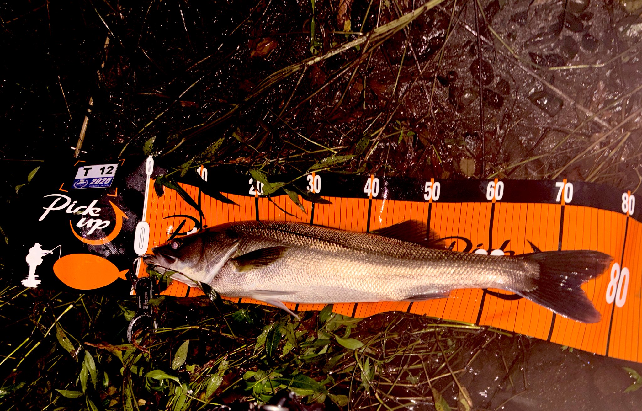 Muto (@Cameler89) / X