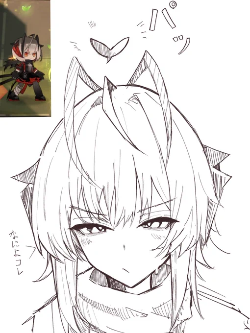 ダブチ 