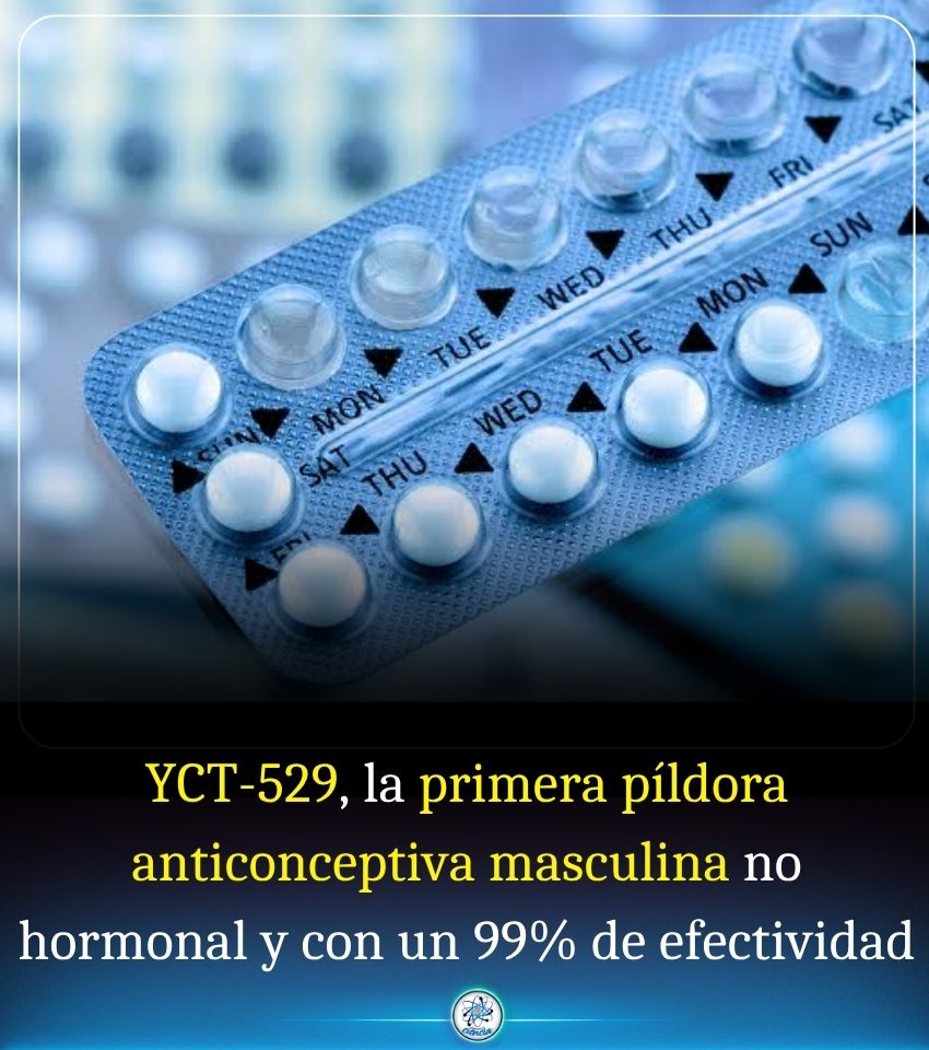 EnsedeCiencia's tweet photo. https://t.co/QUEzwui47Y