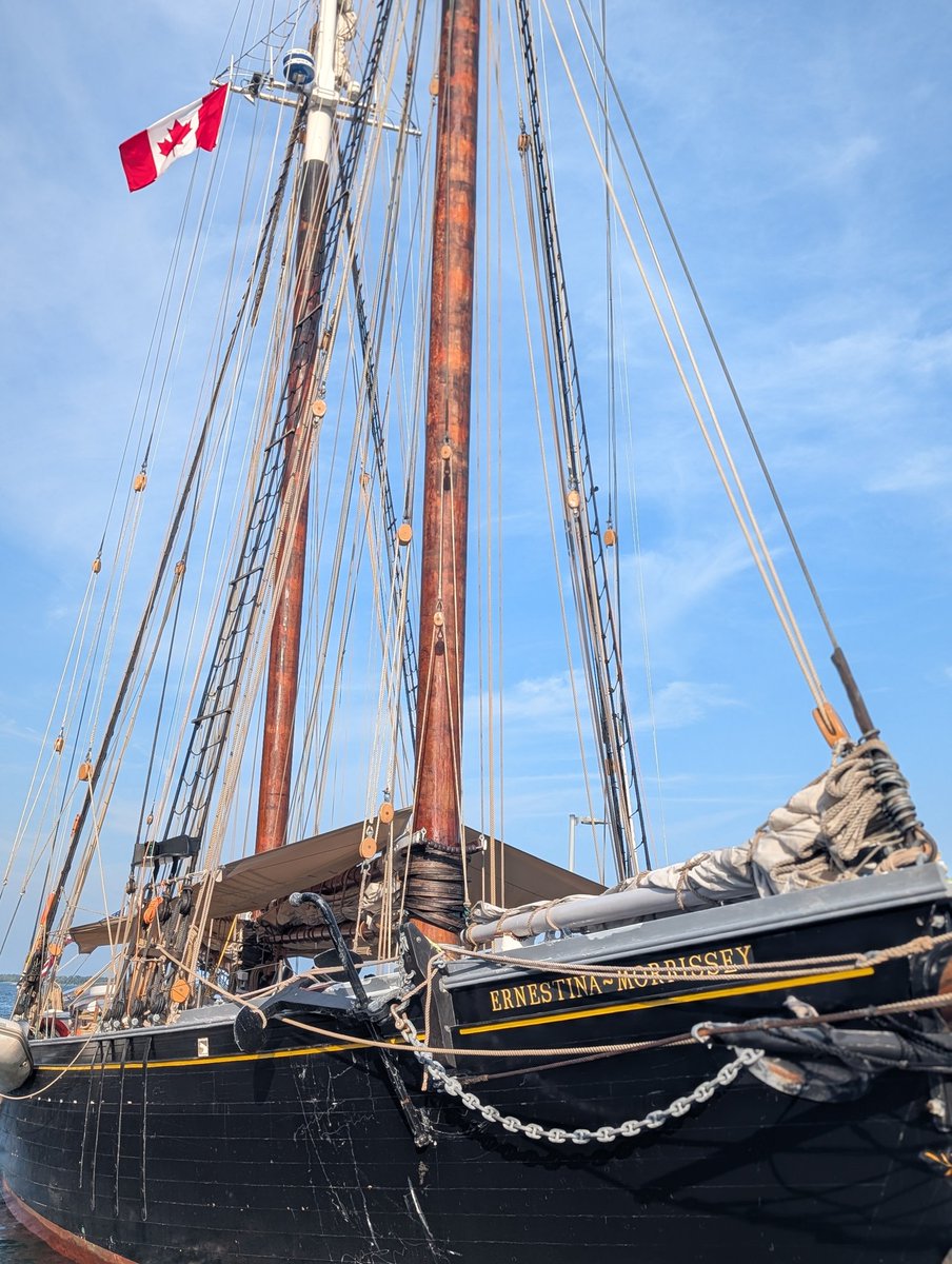 Sail Detroit tweet media