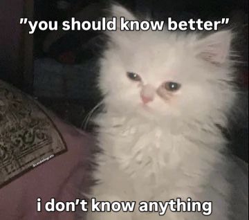 literally dont know anything
