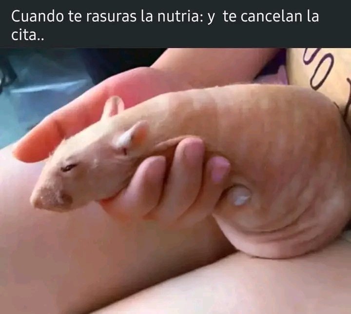 iosmardyn's tweet image. 