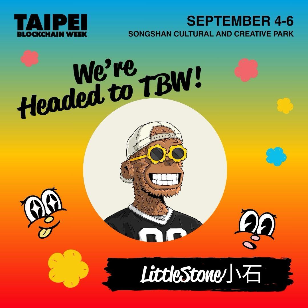 LittleStone小石 tweet media