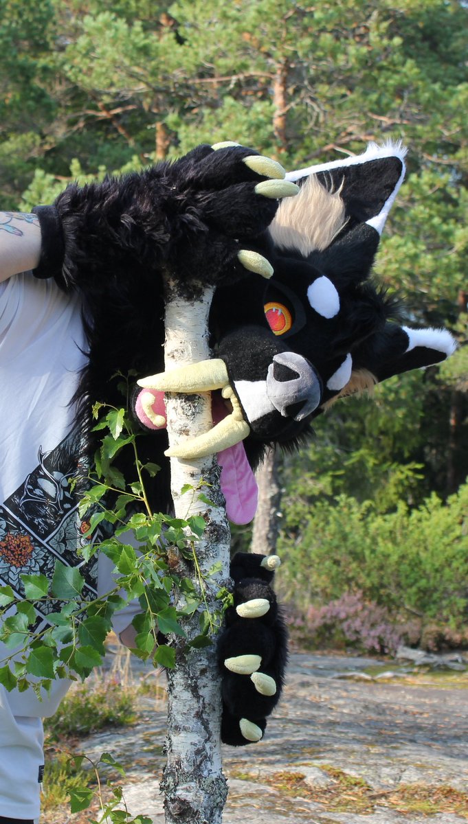 COYOTESAINT 𓃦˚☽˚｡⋆ tweet media