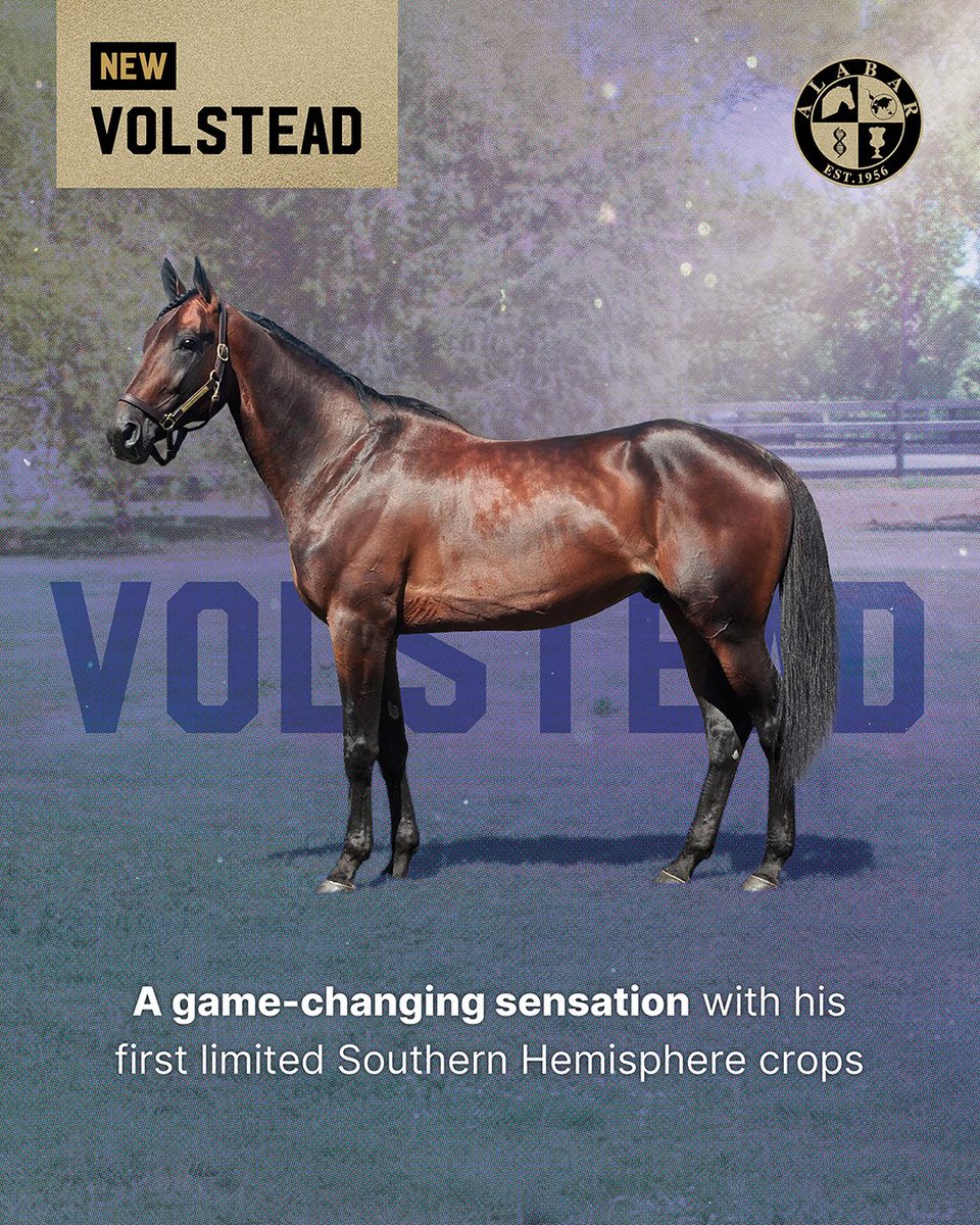 𝙑𝙤𝙡𝙨𝙩𝙚𝙖𝙙 𝙍𝙚𝙩𝙪𝙧𝙣𝙨 𝙩𝙤 𝘼𝙪𝙨𝙩𝙧𝙖𝙡𝙞𝙖 – 𝙄𝙣 𝙩𝙝𝙚 𝙁𝙡𝙚𝙨𝙝 𝙖𝙣𝙙 𝙎𝙩𝙖𝙣𝙙𝙞𝙣𝙜 𝙖𝙩 𝘼𝙡𝙖𝙗𝙖𝙧

In conjunction with Australis Stallions &amp; owner Euro Stall Se (Dean Miller), Alabar is thrilled to announce that Volstead is returning to Australia.

Read