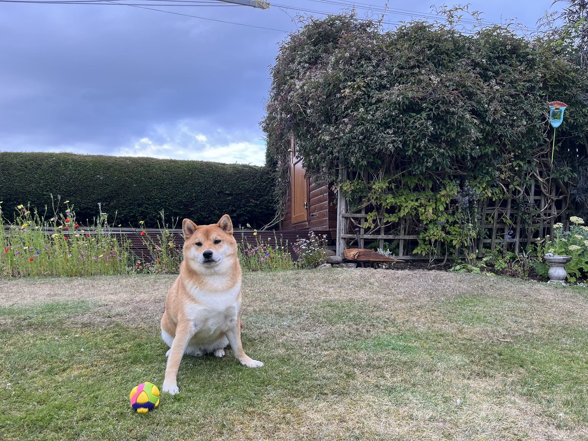 Ruin That Boy ⁽ᵐᵃʳʸ⁾ tweet media