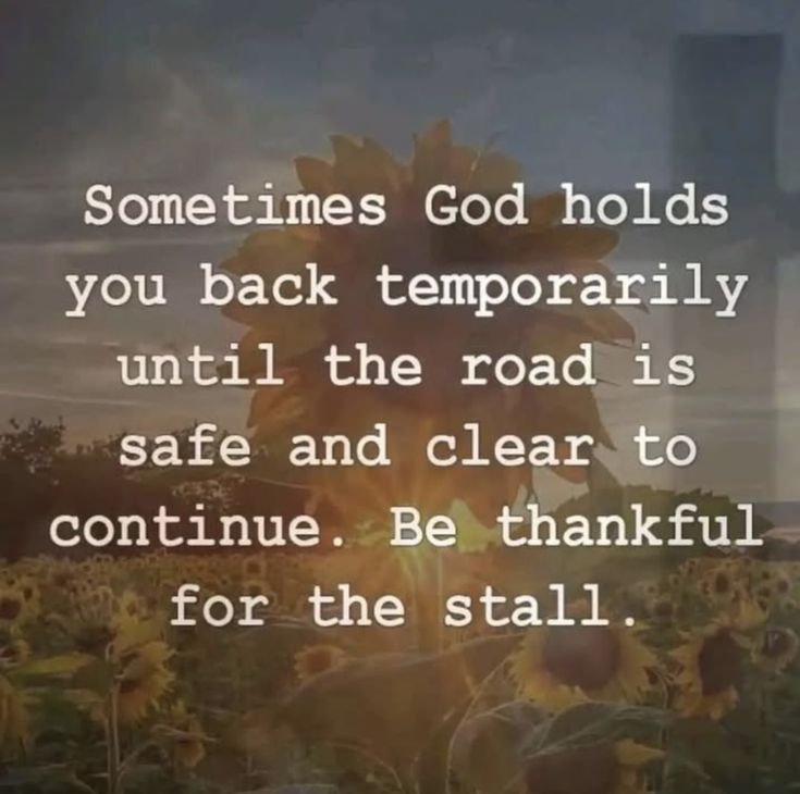 Shelly (@mcain1954) on Twitter photo SundayBlessings #BuddyChecksMatter Veterans 🇺🇲
#Turn22To0 #EndVeteranSuicide 💕💕
#PTSDWarrior #JustListen ⭐️⚓️🐝🍈✈️🪂
➡️<a href="/TenchCoxe2ndA/">richb59x6</a>⭐️🇺🇸
➡️<a href="/FawnMacMT/">FawnMacMT~🙏 DisabledArmy👮♂️~🥓🇺🇸🇺🇸❤️ 🙏✝️</a>⭐️🇺🇸
➡️<a href="/hrt6017/">hrt48</a>⭐️🇺🇸
➡️<a href="/side_hustlin/">Ai Reply Guy</a>⭐️🇺🇸
➡️<a href="/Stick4Veterans/">(Stick) James Alexander</a>⭐️🇺🇸
➡️@Captmorgan22⭐️🇺🇸
➡️<a href="/DennisB95296244/">@slicklowriderHD</a>⭐️🇺🇸
➡️<a href="/CelticDale/">DALE ROBIN ~Celtic Warrior~⚔️ USA🇺🇸 Ireland🇮🇪</a>⭐️🇺🇸 SundayBlessings #BuddyChecksMatter Veterans 🇺🇲
#Turn22To0 #EndVeteranSuicide 💕💕
#PTSDWarrior #JustListen ⭐️⚓️🐝🍈✈️🪂
➡️<a href="/TenchCoxe2ndA/">richb59x6</a>⭐️🇺🇸
➡️<a href="/FawnMacMT/">FawnMacMT~🙏 DisabledArmy👮♂️~🥓🇺🇸🇺🇸❤️ 🙏✝️</a>⭐️🇺🇸
➡️<a href="/hrt6017/">hrt48</a>⭐️🇺🇸
➡️<a href="/side_hustlin/">Ai Reply Guy</a>⭐️🇺🇸
➡️<a href="/Stick4Veterans/">(Stick) James Alexander</a>⭐️🇺🇸
➡️@Captmorgan22⭐️🇺🇸
➡️<a href="/DennisB95296244/">@slicklowriderHD</a>⭐️🇺🇸
➡️<a href="/CelticDale/">DALE ROBIN ~Celtic Warrior~⚔️ USA🇺🇸 Ireland🇮🇪</a>⭐️🇺🇸