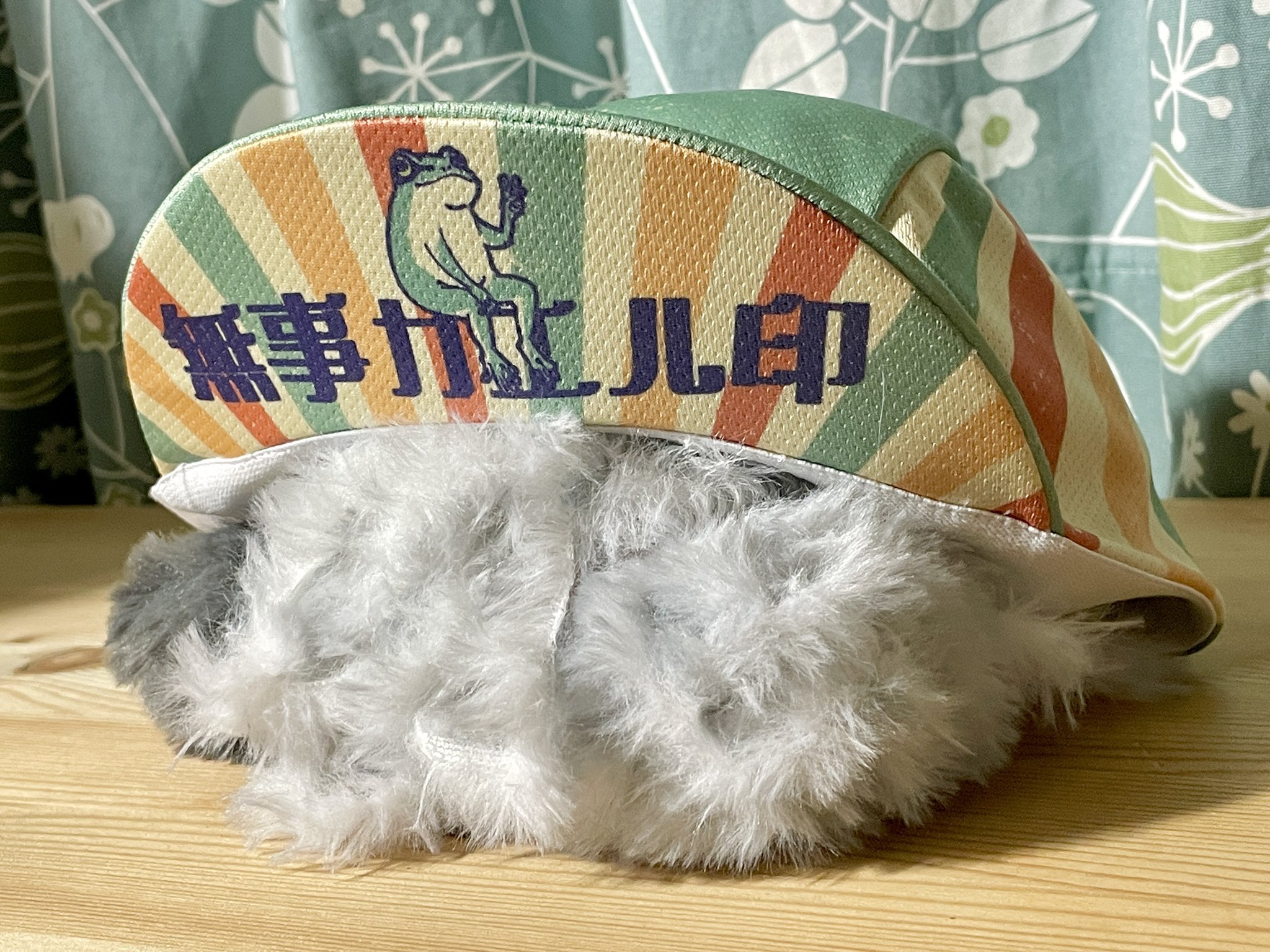 カエル♡ チャコガエル入荷しました！ シャクレちゃんも数匹います