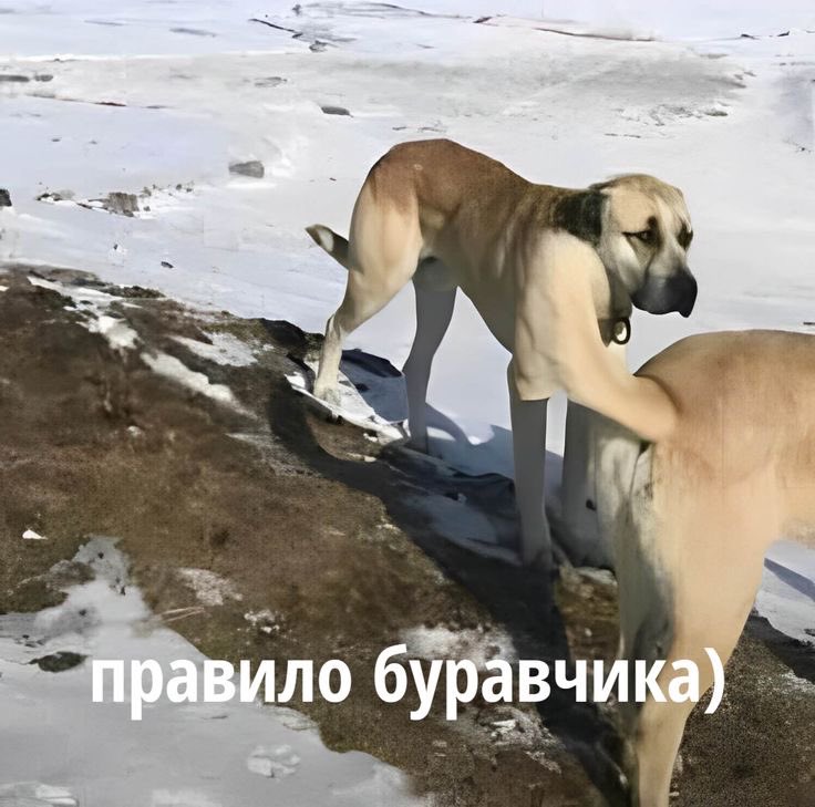 Это лучший мем на свете. Меня с него каждый раз как в первый разъебывает.
Умоляю, скиньте ниже тоже всратых мемов.
