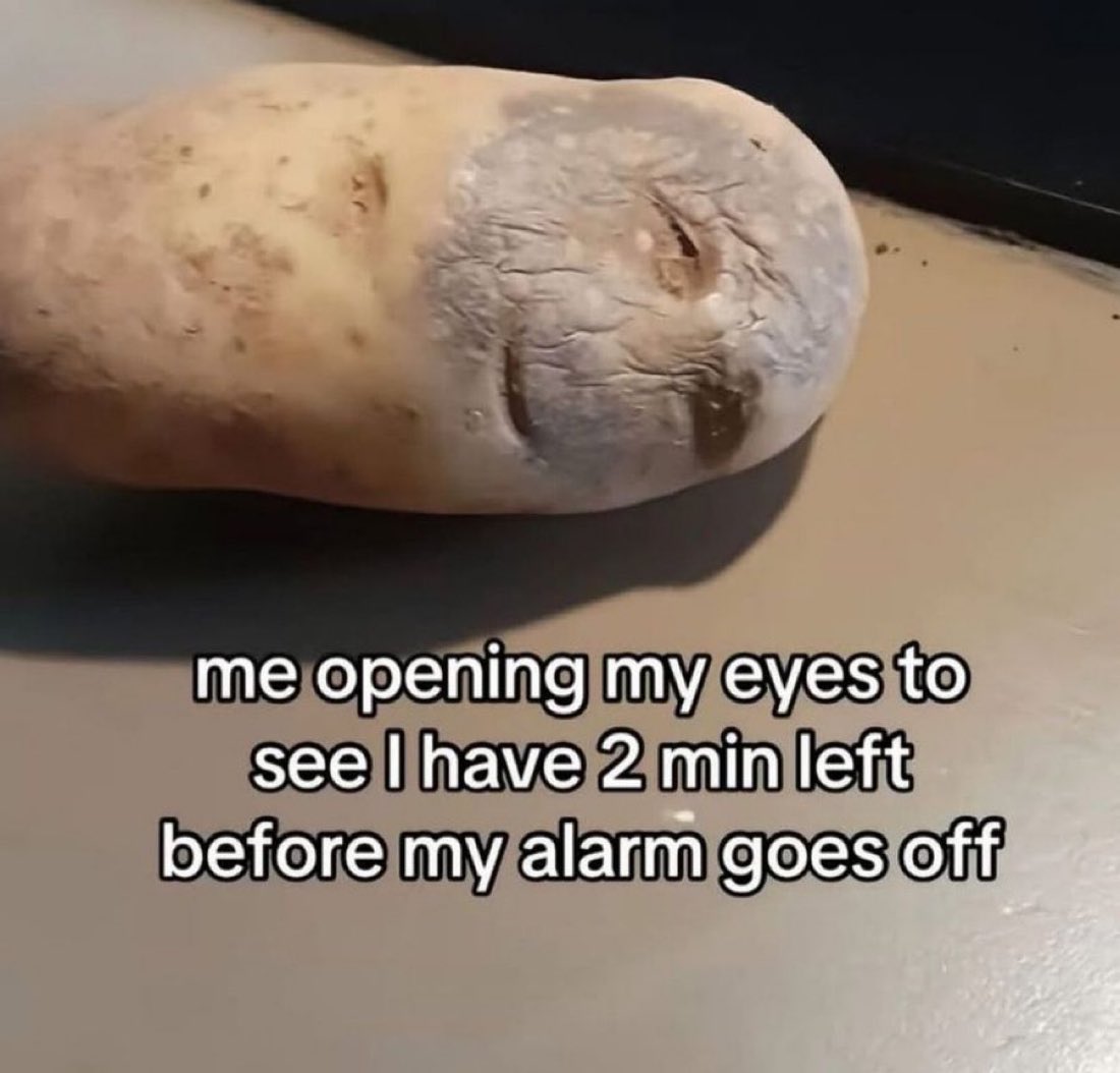 NoContextHumans's tweet image. 