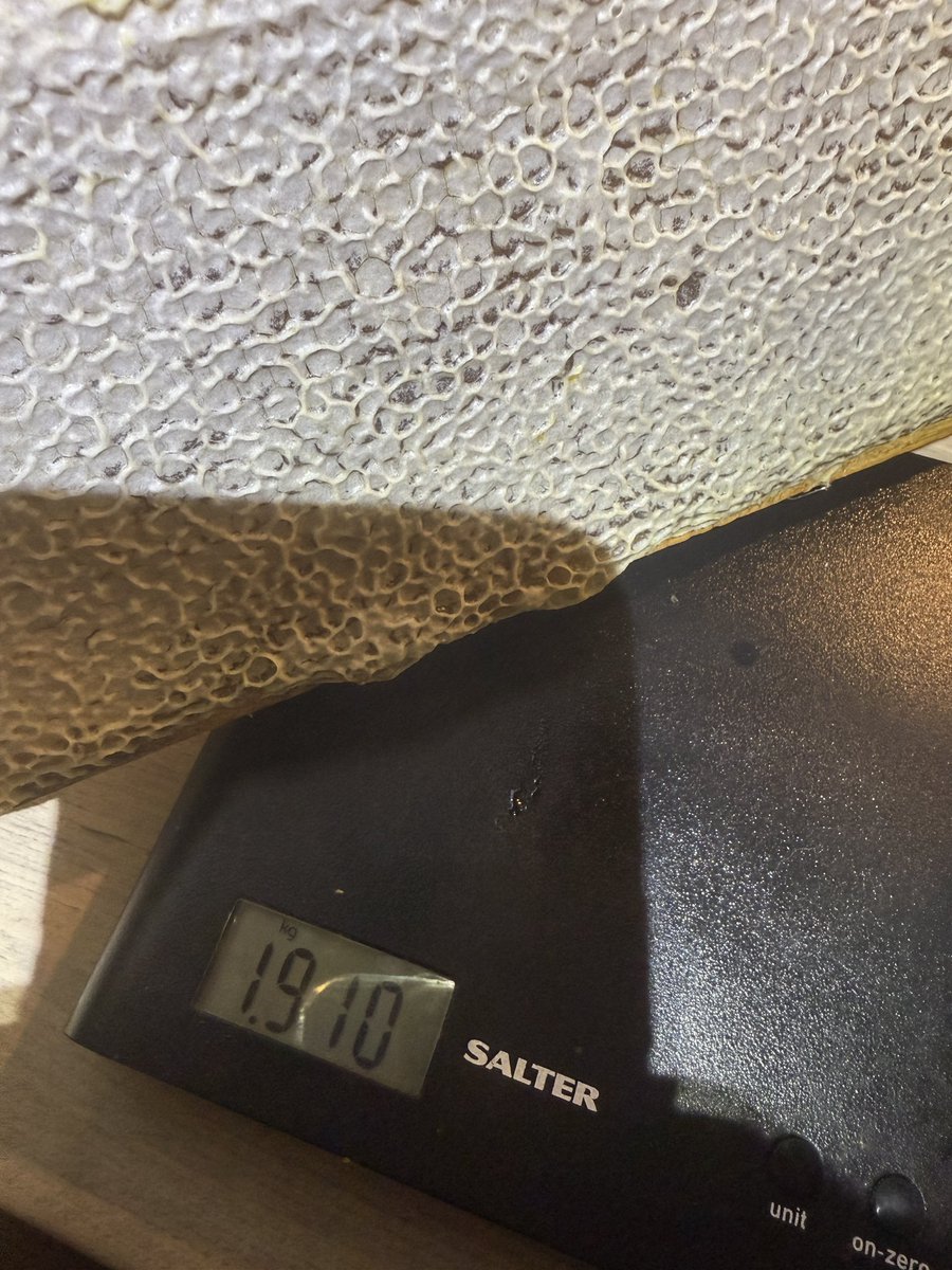 TylaGlasBees's tweet image. Nearly halfway through summer honey extraction—and the supers are seriously heavy this year.
Great for honey, less great for us.
Extraction: the one part of beekeeping we don’t enjoy.
Anyone else feel the same?

#HoneyHarvest #BeekeepingLife #WelshHoney #GreatTasteAwards