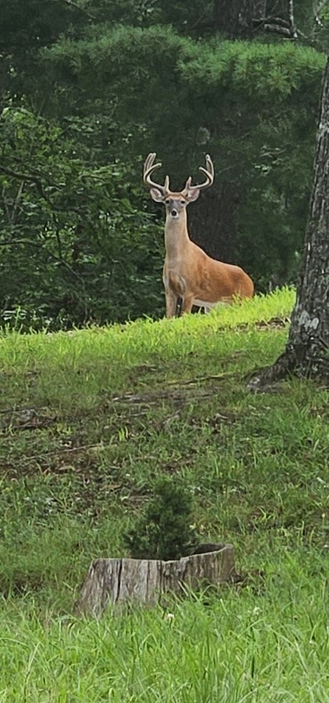 Following all &amp; reposted.  Thanks for the introductions &amp; for including me.