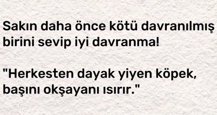 Loki ama Ankaralı (@elokic) on Twitter photo 