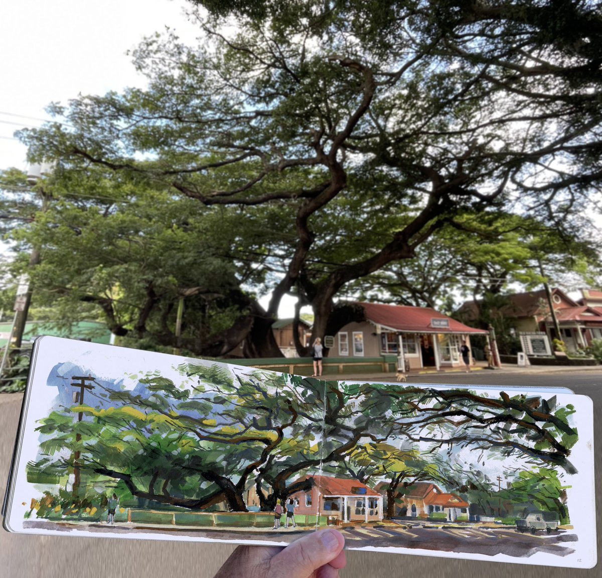 garygeraths's tweet image. A few artifacts from a 3 week wander and paint trip to Kauai, Hawaiian Islands. Beautiful place (do I even have to say that?) with waterfall hike and hundreds of miles of greens. Gouache in sketchbooks. I need to Jack those algorithms up so please hit that thumbs up button.