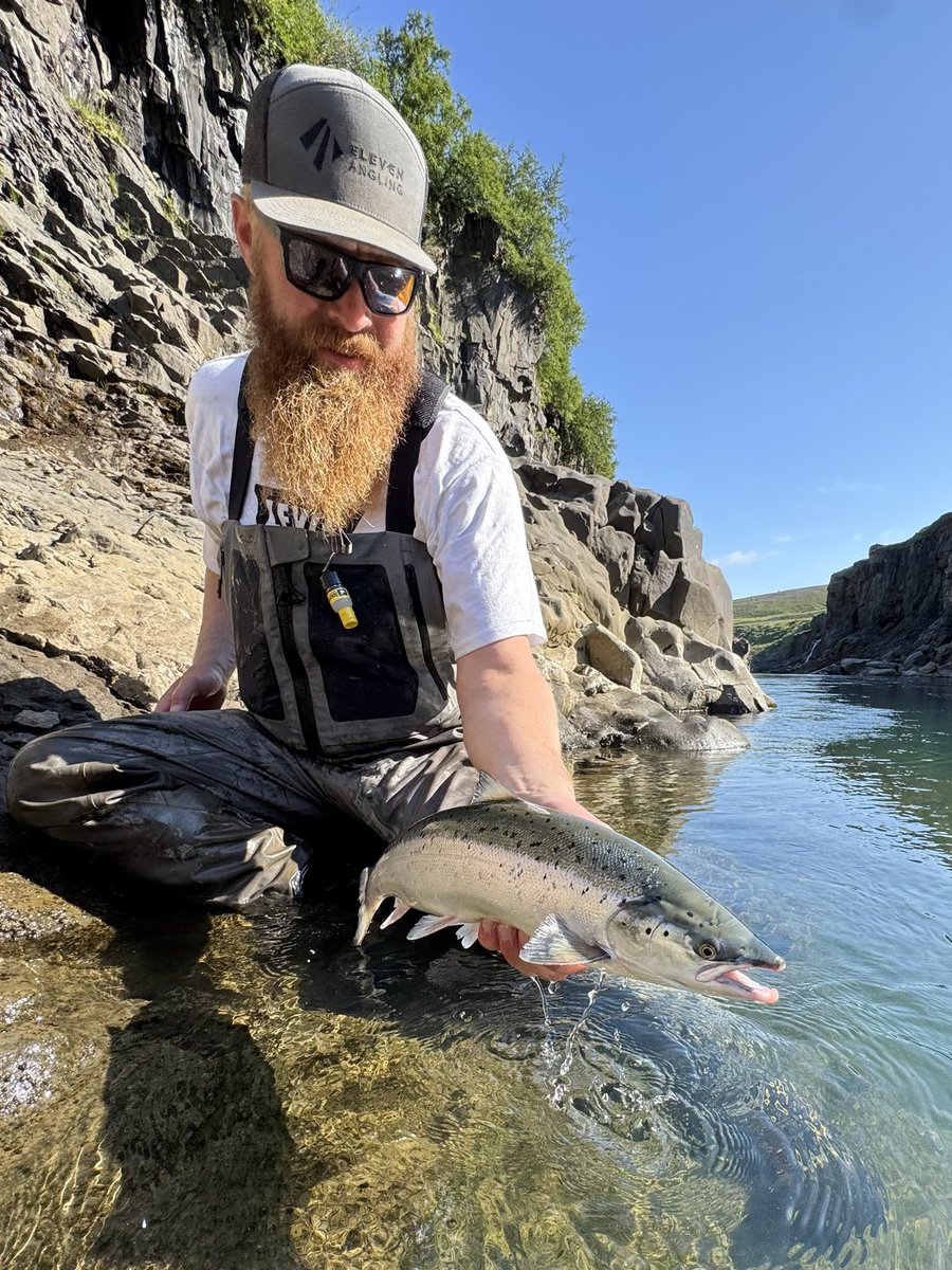 ElevenAngling tweet media