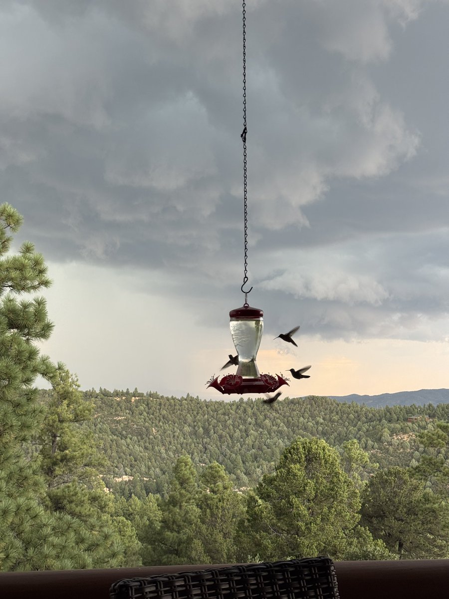 ralphandvicki's tweet photo. Oh Hail!!! 👀😖⚡️⛈️ How’s your day going?! #ralphandvicki #teamoutdoors #hailstorm #mountainliving #ohhail #thatsgonnaleaveamark https://t.co/VWldRAeut5