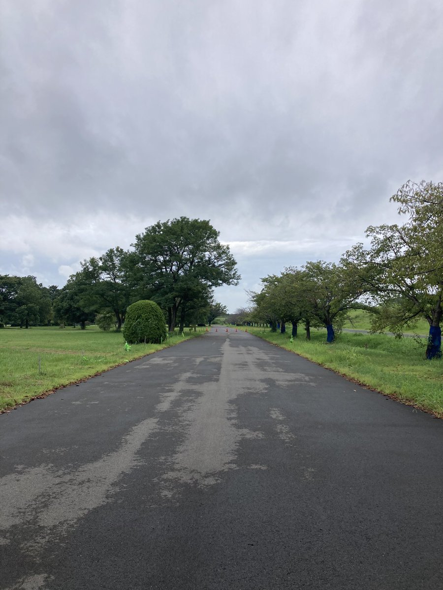 おはようございます！28℃☁️☔️
8時現在、わたらせサイクルパークは雨なし☁️
このあと降ったり止んだりの可能性がありますが、運が良ければ利用できる時間もありそうです🚴
路面は一部ウェットなのでご注意を⚡
