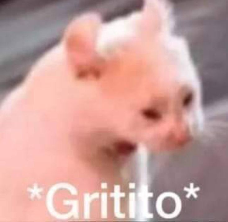 𝓢𝗛𝗔𝗨𝗡 𝓦𝗘𝗛𝗡𝗘𝗥𝗧. tweet media