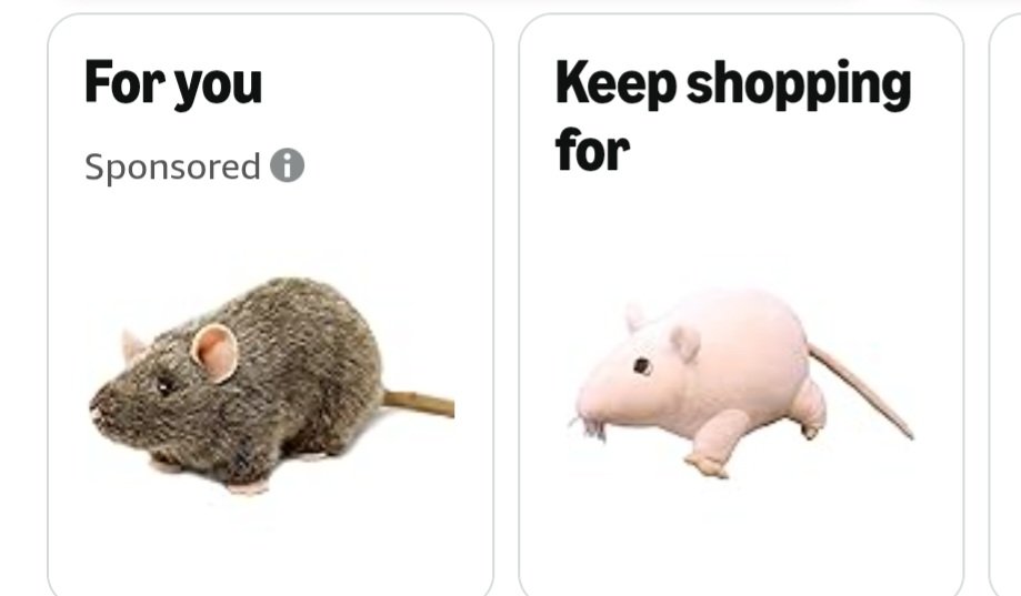I hate sharing an Amazon account with <a href="/vvvacillator/">normal leon kennedy enjoyer</a>