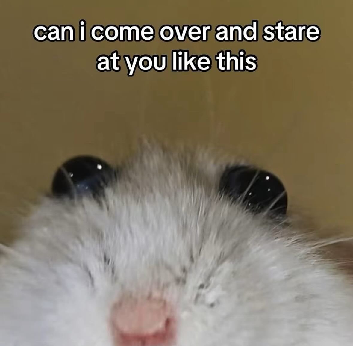 ♡ (@astralbaes) on Twitter photo 