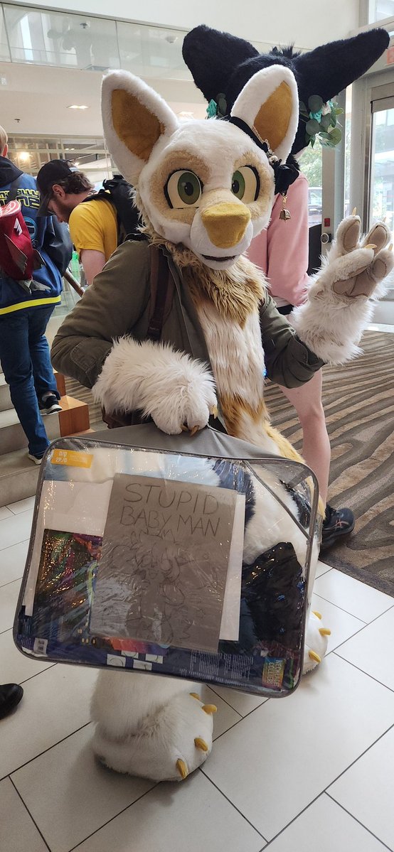 Sioteru.com @ 🟦☁️ social 🦌🛸 (@sioteru_) on Twitter photo The adorable <a href="/littlemiafox/">🦊Little Mia Fox🌱CanFur🇨🇦</a> stealing my skin at #Canfur2025
#canfurence #Canfur The adorable <a href="/littlemiafox/">🦊Little Mia Fox🌱CanFur🇨🇦</a> stealing my skin at #Canfur2025
#canfurence #Canfur
