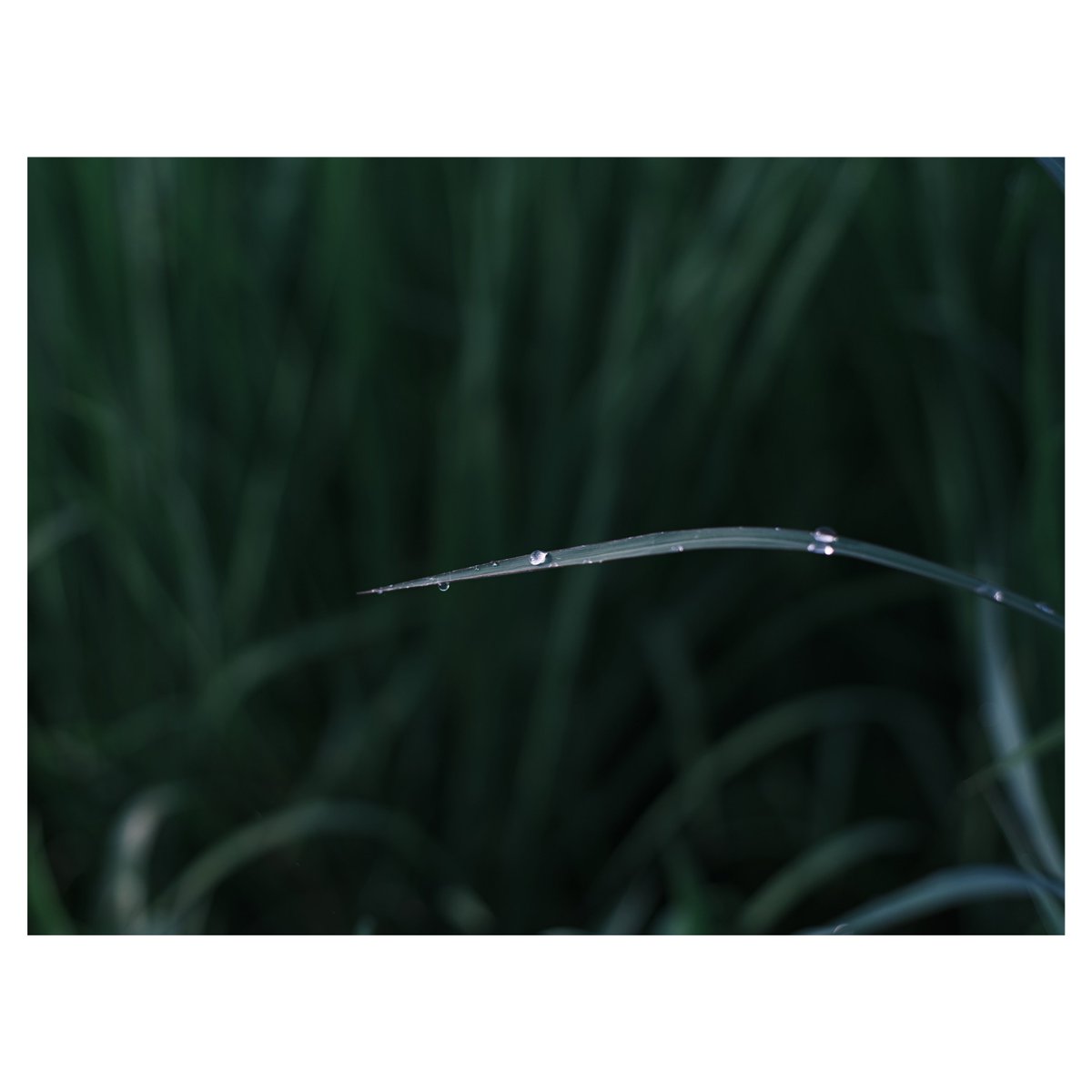 𝚖𝚘𝚗𝚔𝚢𝙳𝙸𝙾 (@monkydio) on Twitter photo 