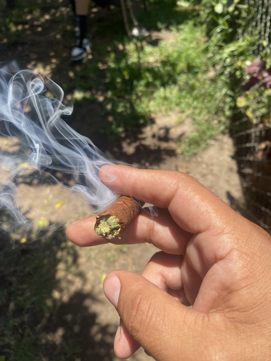 DetonatedOG's tweet image. 4:20 in South Central 🧨 #DetonatedOG🧨 #southcentral #losangeles #sundayfunday #ogkush
