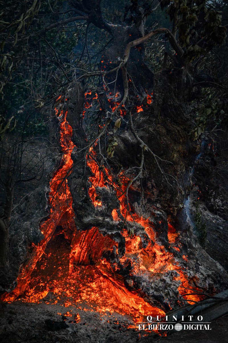Resumen 
de uno  de los días 
más tristes de mi vida 😞😞