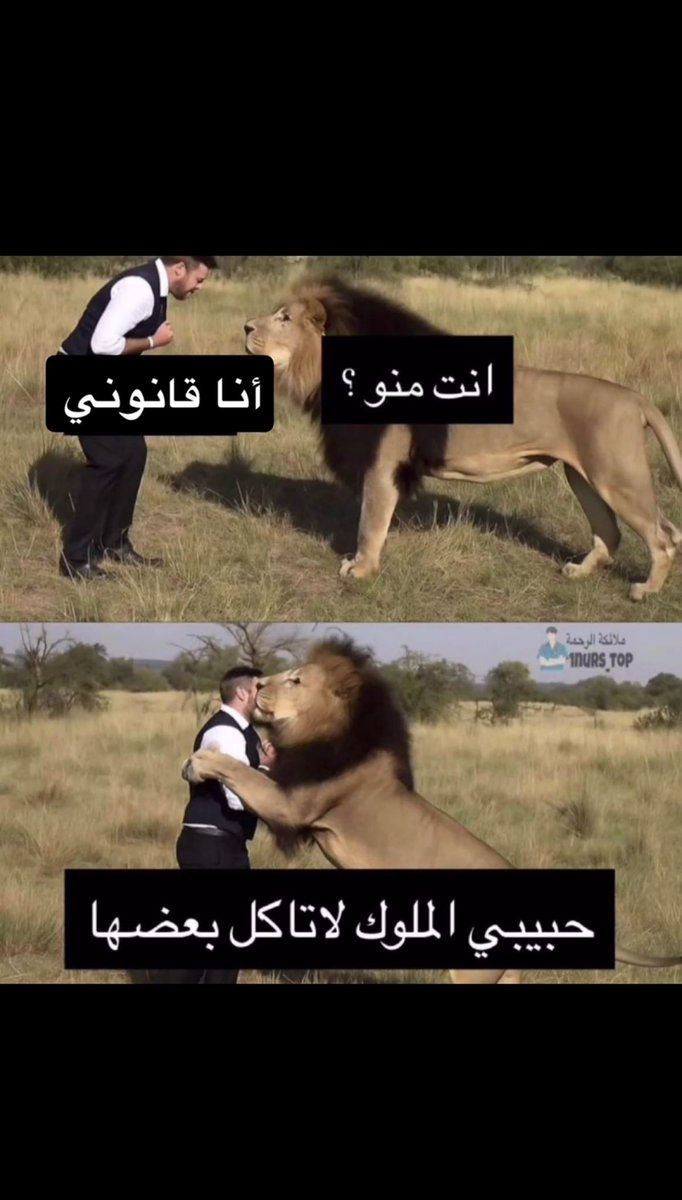 Ahmed Hakami ⚖️. (@ahmedhakam12786) on Twitter photo 