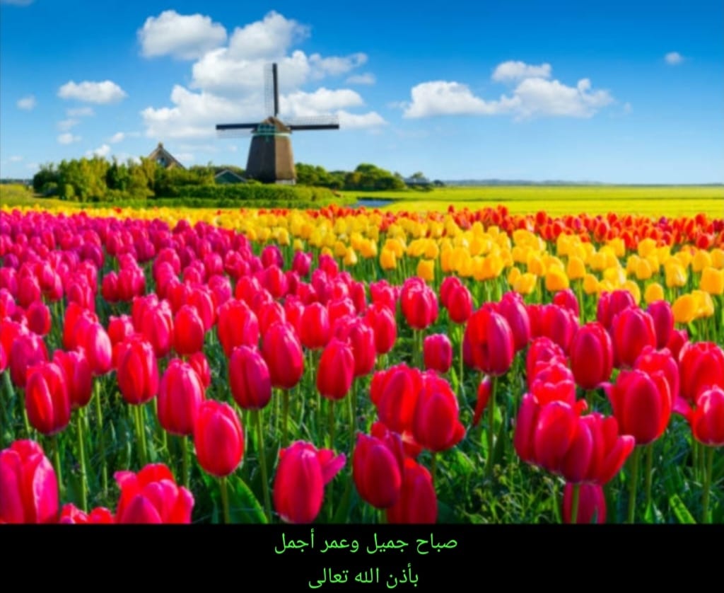 في ذكرى قاص الرومانسية العراقية – فيصل عبد الحسن azzaman.com/%d9%81%d9%8a-%… عبر @Azzaman