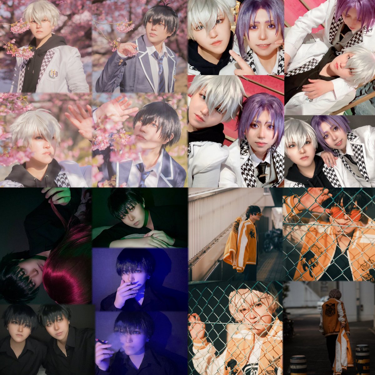 🐦‍⬛κuroとsirδ 🐕 ͗ ͗ tweet media