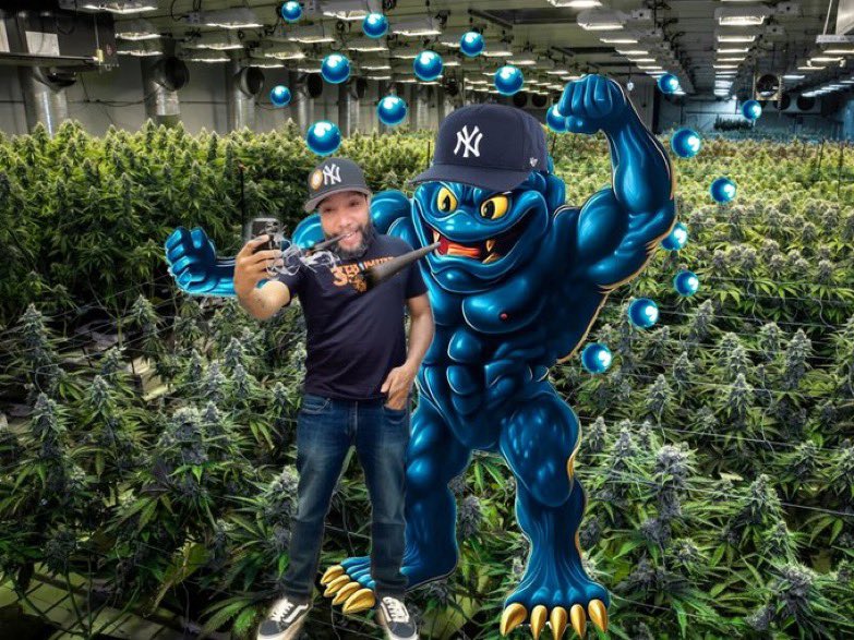 TRUEMETA_US's tweet photo. Just me and my boy @Clusterfuck_SOL checking out the @weedcoinOG grow! Catch #clusters and I in spaces here on @x #solana #Bubblemap #Bubblecluster 

https://t.co/9QlTlvP7ZQ https://t.co/GUWOpMAX8e