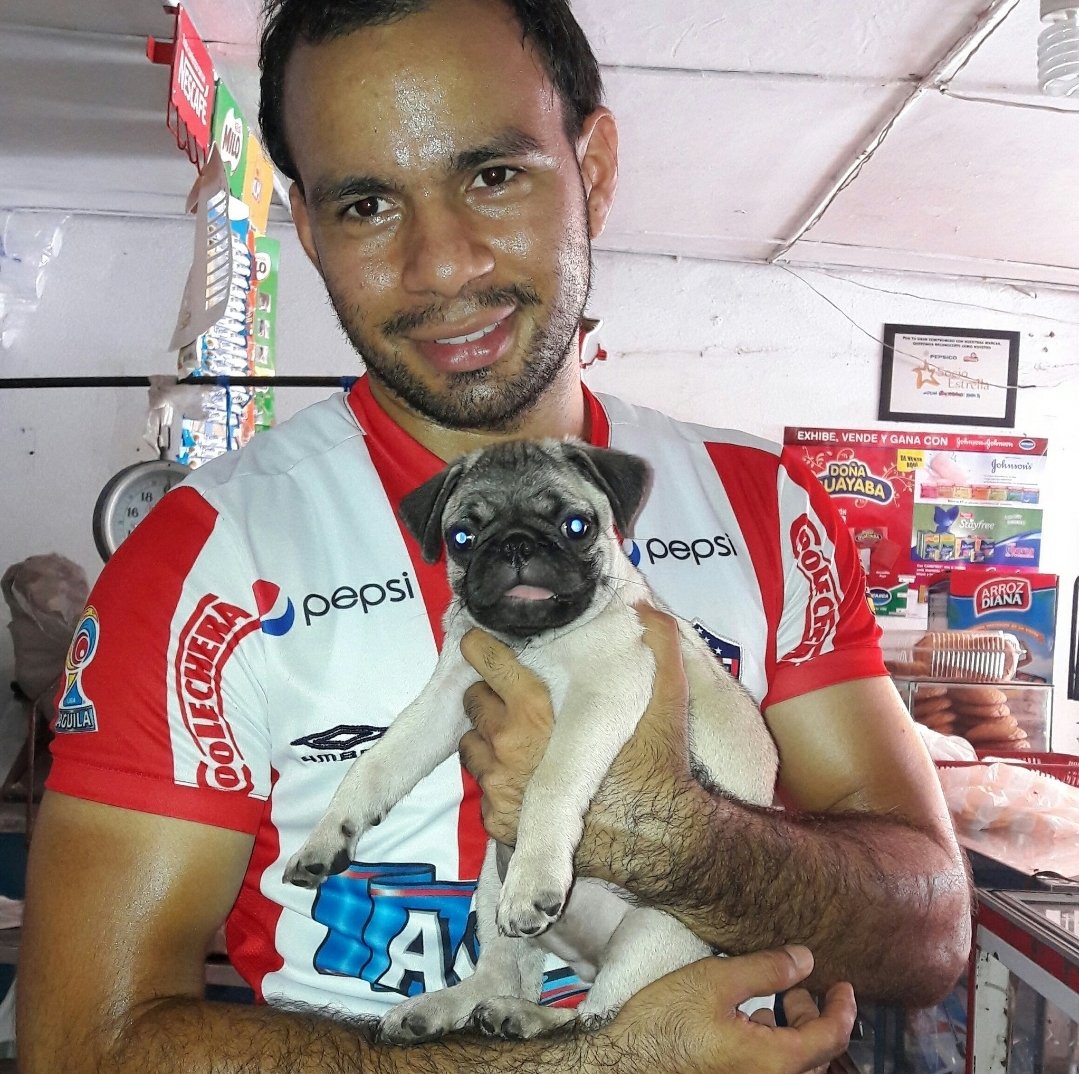 Sofi arboleda tweet media