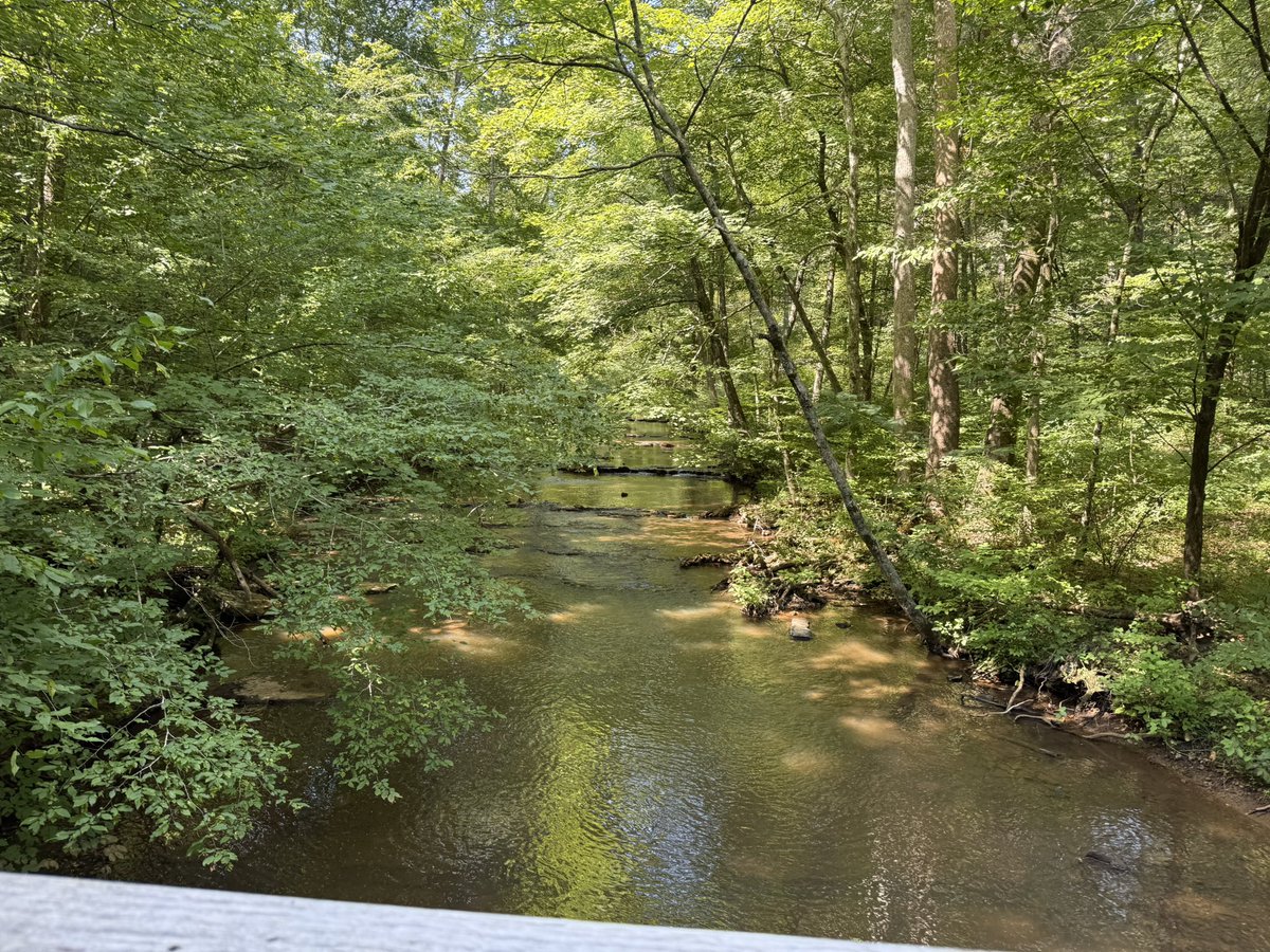 luke_strominger's tweet photo. A few shots from Montgomery Bell State Park, TN at the #ACCSummit.
@ACC_National https://t.co/GY1PeKj7Bq