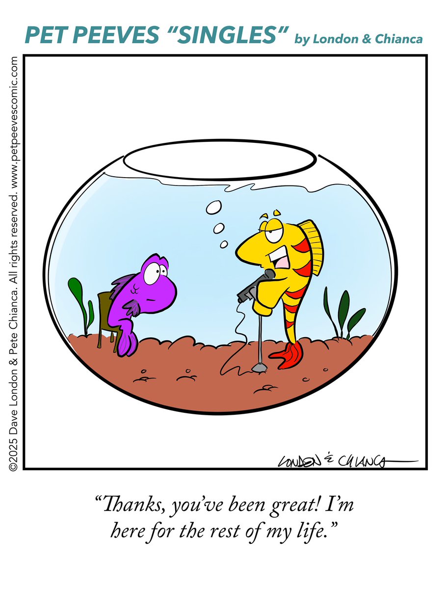 Pet Peeves Single, Aug. 10, 2025: Swim-up comedy. #comedy #fish #standup #comicstrip #humor