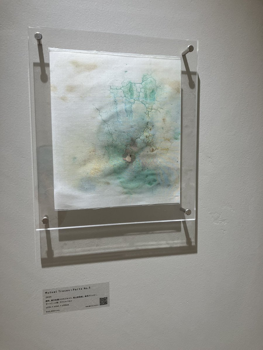 新宿ルミネエストのアートスペースで
現代美術作家・齋藤帆奈さんの個展「co/evo/lution」が開催されていました✨

齋藤さんは、粘菌の動きや色彩を取り入れた作品で知られる気鋭のアーティストだそうです！

閃きや感性がすごいですね😊

#美術 
#新宿ルミネエスト