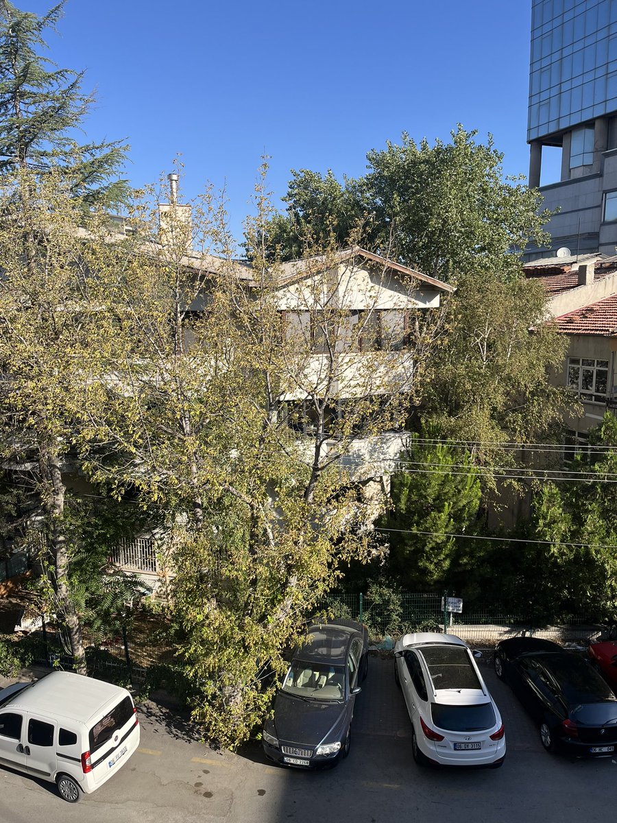 sabah 07’de uyandım kahvemi sigaramı aldım üzerimde hırka mis gibi güneşleniyorum soğuk havada, karşımdaki ağacın altındaki dalları inip kessem mi diye düşünüyorum sinirlerimi bozuyor. Bir de orası çöp dolu cd plaka utanır mı sanmam