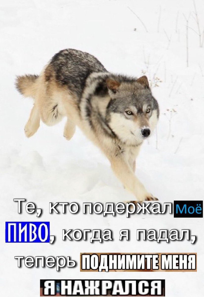 МЕМЫ ПРО ПИВО и не только tweet media
