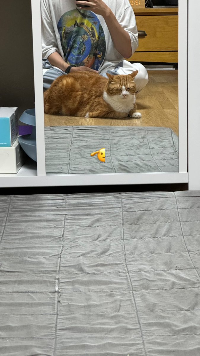 혁규 인스타스토리

🫡🐈