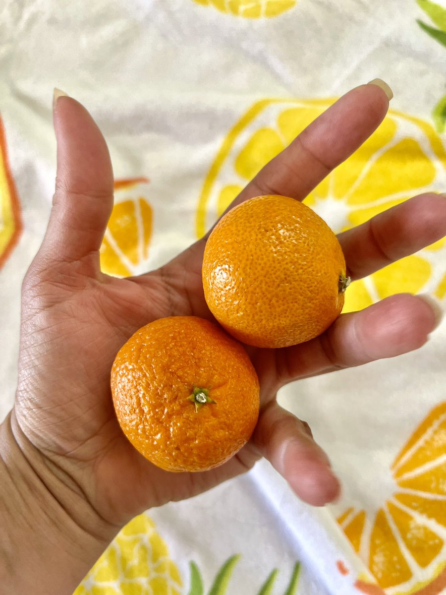 CallMeDWASH's tweet image. Day 15 #SweatToWin 💪

#Movement
#Gym
#Lift
#Mindset
#DailyPractice
#Nourish
#Nutrition
#Lifestyle
#TrentSheltonPodcast
#ThirdQuarter
#TeamSparks❤️‍🔥