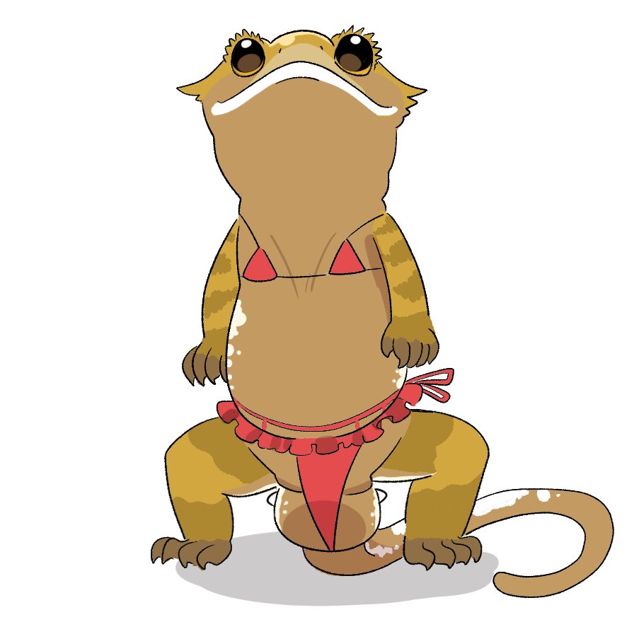 えっちな下着を着たヤモリの画像を流してフォロワーを怖がらせましょう！