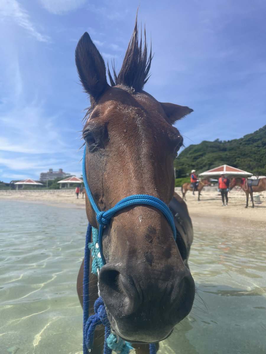 ⭐️るんたです るん太 (@runta1210) • Instagram photos and videos