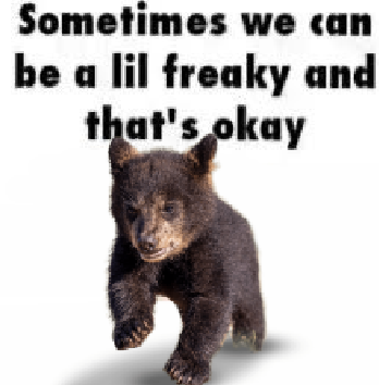 BearyDales (@bearydales) on Twitter photo 