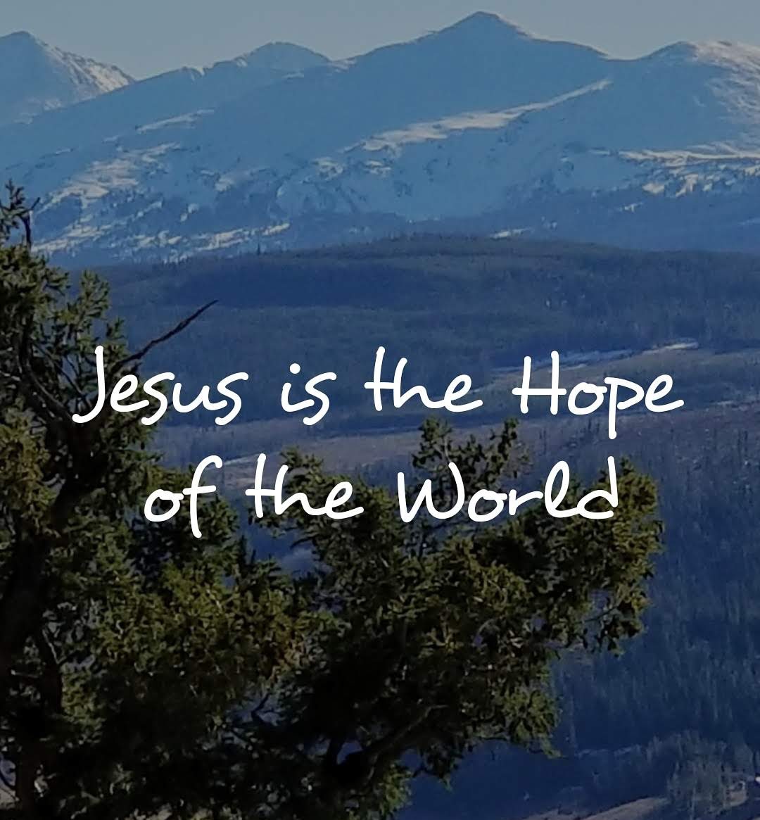 Make Jesus the Lord of your life. #Jesus #JesusIsKing #sundaythoughts