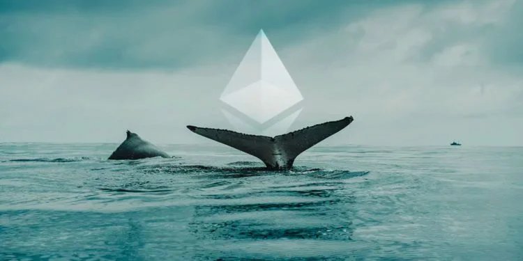 ValeskaClar's tweet photo. As long as one has an Internet connection and a #crypto wallet, anyone can participate in the #DeFi ecosystem, regardless of where they are in the world, their wealth, or their background #web3 https://t.co/ISd7OP2zEX